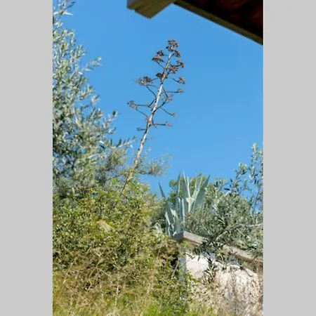 Ladovina, Relaxing Enviroment With A Modern In A Old Stone House